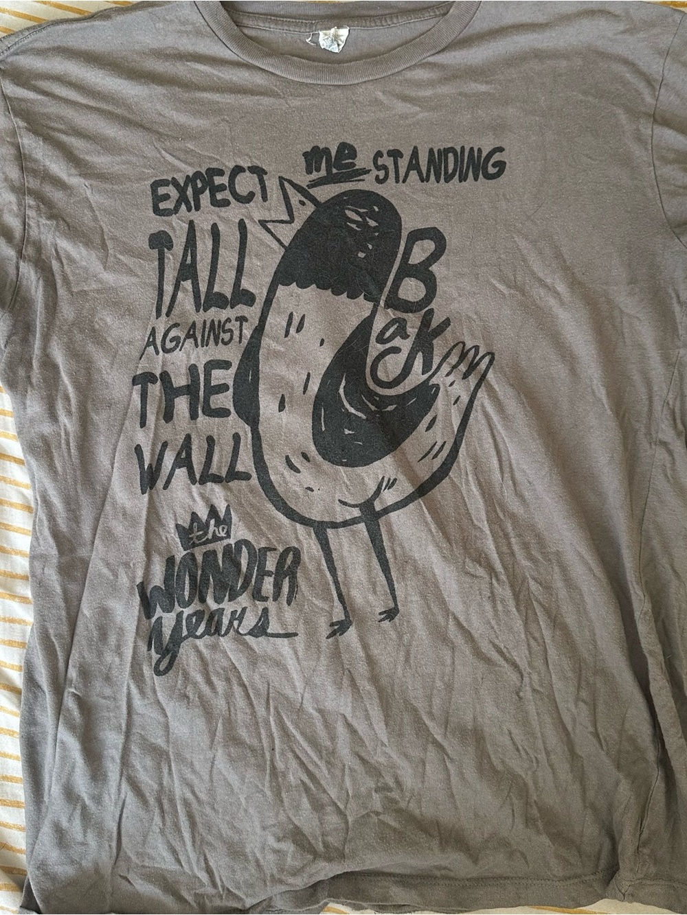 The Wonder Years Band T-Shirt
